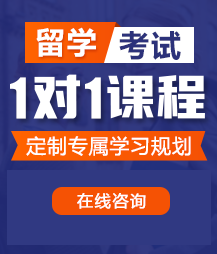 日逼一级视频留学考试一对一精品课